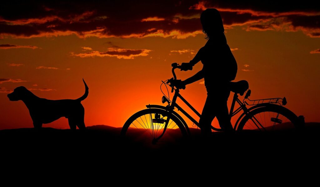 woman, bike , bhuchisworld, sunset