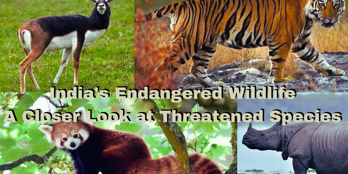 Endangered Animal Species in India