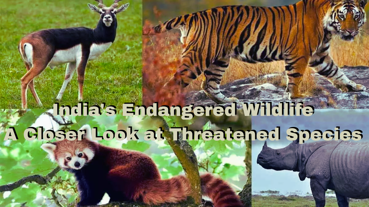 Endangered Animal Species in India