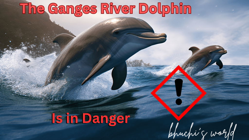 The Ganges River Dolphin: An Endangered Freshwater Marvel