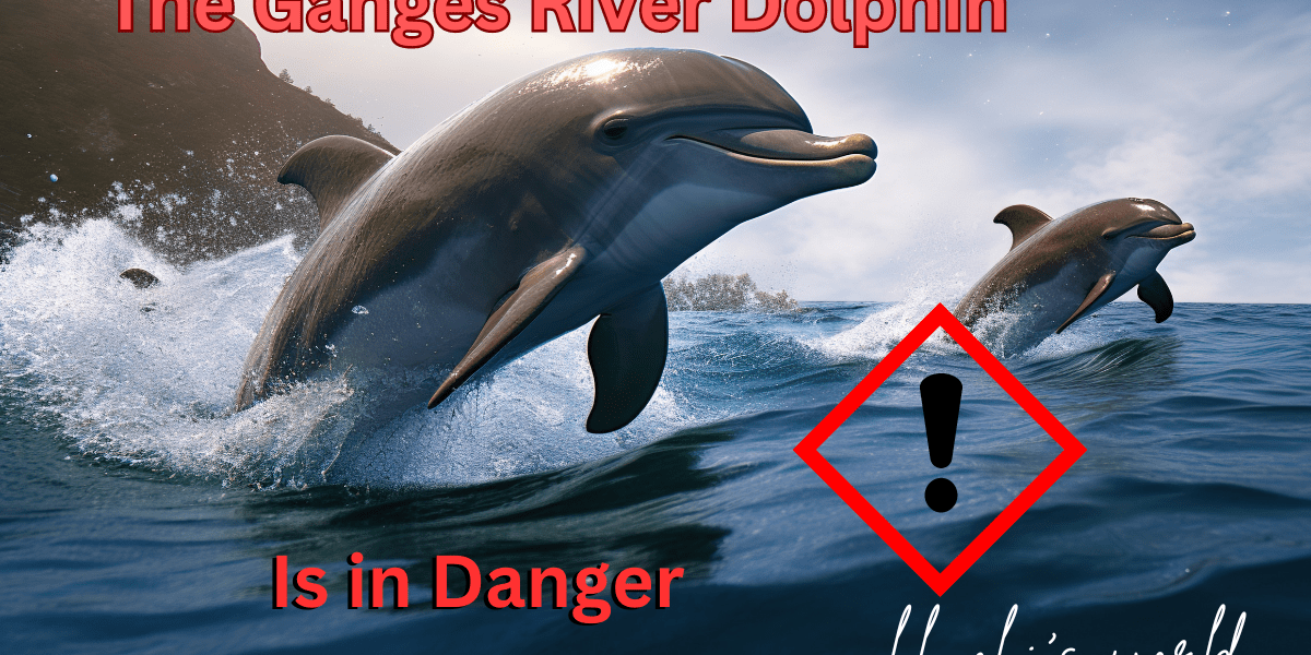 The Ganges River Dolphin: An Endangered Freshwater Marvel