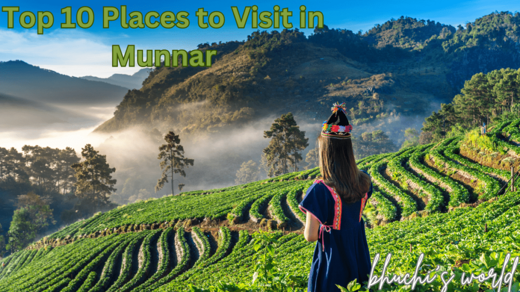 10 Best Places to Visit in Munnar: A Complete Guide to the Jewel of Kerala