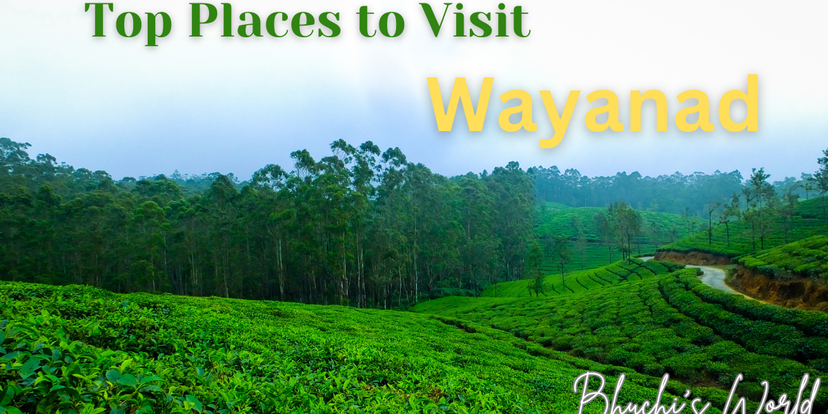 Places to Visit in Wayanad