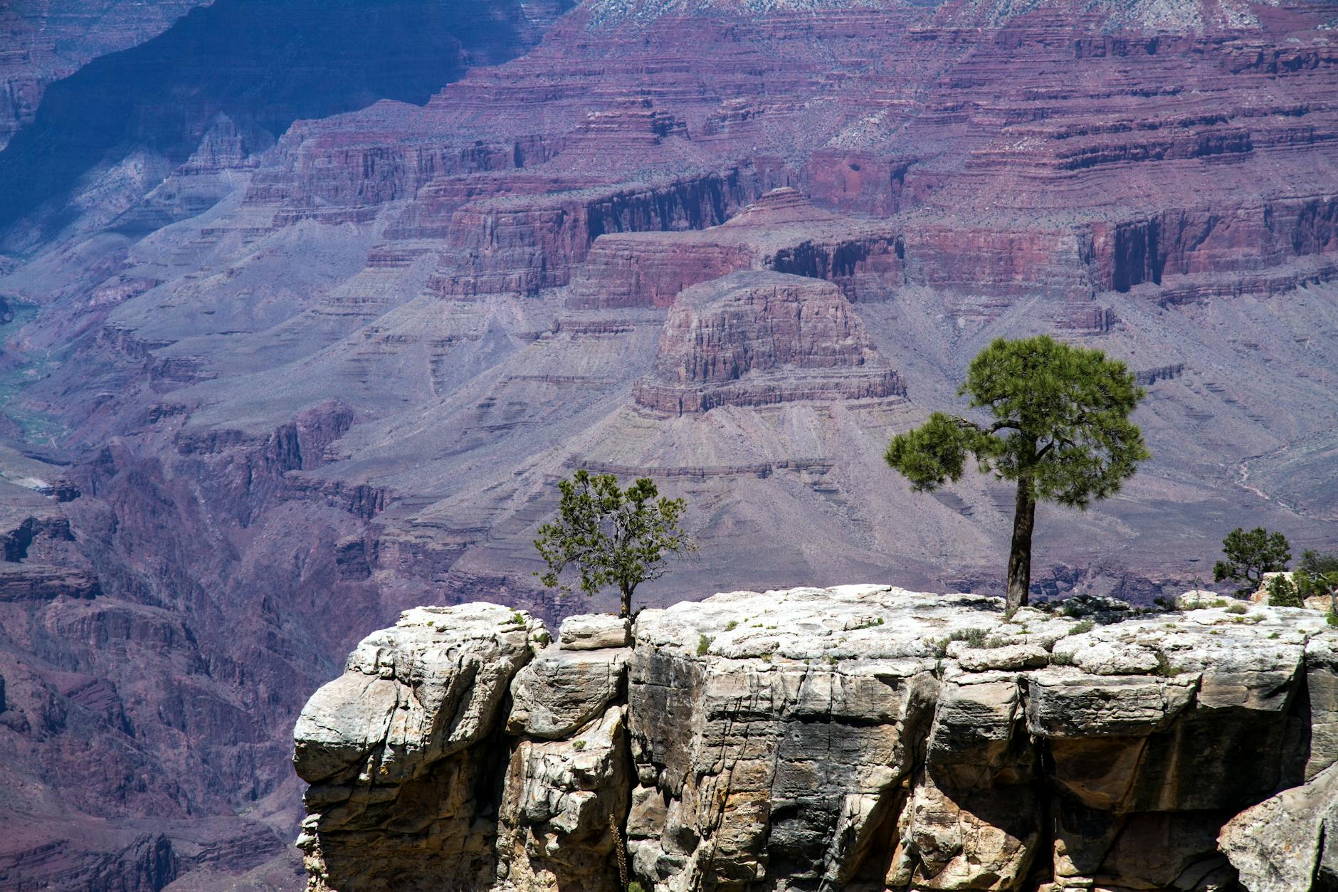 Grand Canyon North Rim