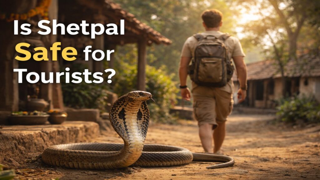 ChatGPT-Image-Mar-31-2026-10_19_52-PM-1024x576 Shetpal Village – Where Cobras Live Inside Homes and Never Bite